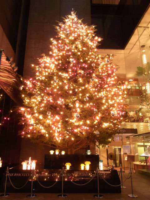 銀座ミキモトのジャンボクリスマスツリー | TOKYOITE・・・東京人