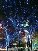 新宿東口のクリスマス イルミネーション