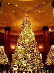 ウェスティンホテル東京のクリスマスイルミネーション２００５