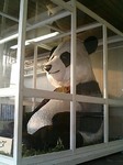 上野駅のジャイアントパンダ像