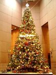 新宿三角ビルのジャンボクリスマスツリー