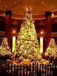 ウエスティンホテルのクリスマスツリー