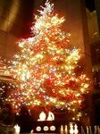 銀座ミキモトのジャンボクリスマスツリー2007