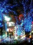 新宿東口のクリスマスイルミネーション2007