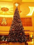ホテル日航東京のクリスマスイルミネーション2007