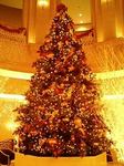 ホテル グランパシフィックメリディアンのクリスマスツリー2007