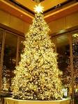 丸ビルのクリスマスツリー2007