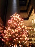 銀座ミキモトのジャンボクリスマスツリー2009