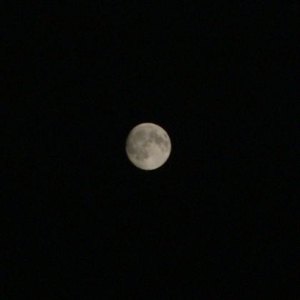 「中秋の名月」(2007.9.25.)の写真です