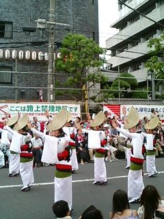 高円寺 阿波踊り(2011年)