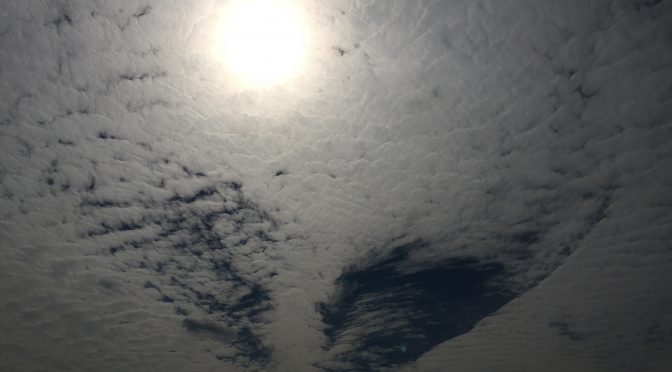 うろこ雲とはばたく翼