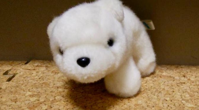 「ホッキョクグマのウパちゃん劇場　NO.4」
