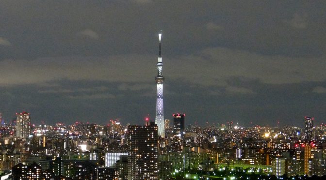 タワーホール船堀より東京スカイツリーを臨む