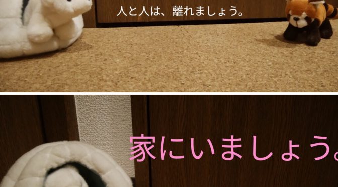 ソーシャルディスタンス＆ステイホーム